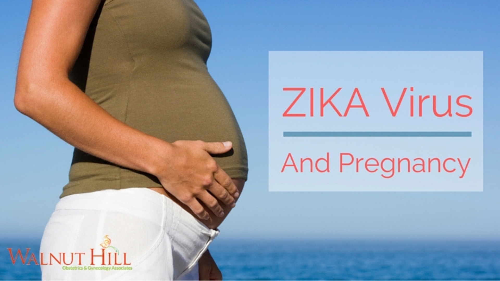 Zika Virus And Planning Pregnancy Walnut Hill OBGYN   Walnut Hill Blog Header Photo 2020 09 09T140930.953 